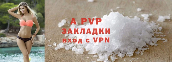 крисы Вязьма