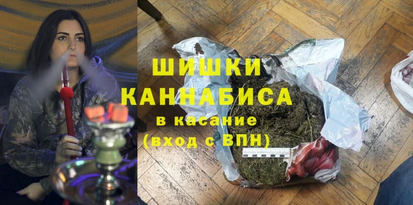 ГАЛЛЮЦИНОГЕННЫЕ ГРИБЫ Вяземский