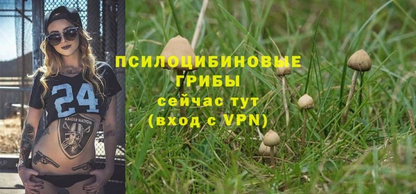 ГАЛЛЮЦИНОГЕННЫЕ ГРИБЫ Вяземский