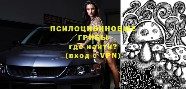 ГАЛЛЮЦИНОГЕННЫЕ ГРИБЫ Вяземский