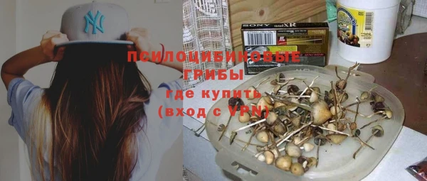 крисы Вязьма