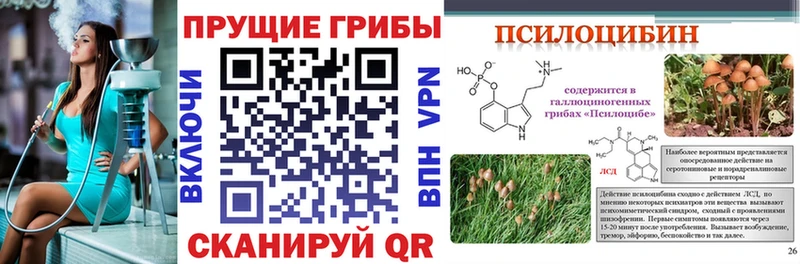 Галлюциногенные грибы GOLDEN TEACHER  Долгопрудный 